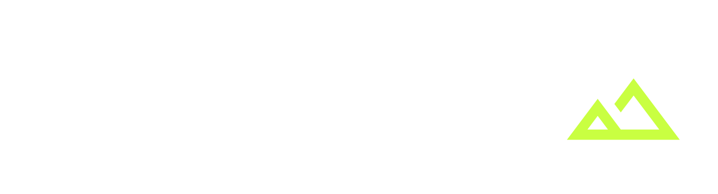 Casitoros logo